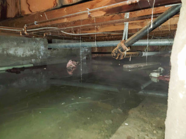 Sewage cleanup and water damage restoration in ME