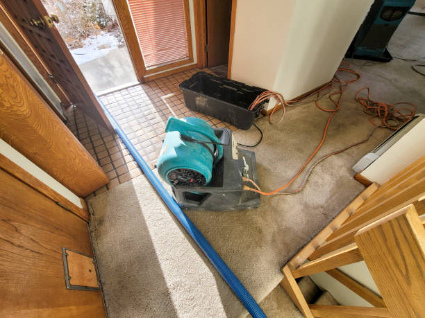 Best Flooded house restoration  in Hallowell, ME