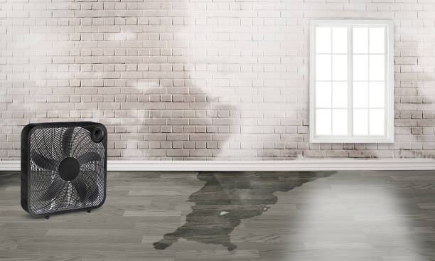 Best Local water damage restoration  in Hallowell, ME
